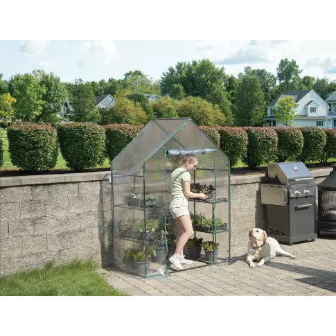 Miracle-Gro Mini serre 4 ft. 8 in. x 29 in. x 6 ft. 5 in.