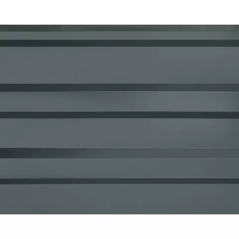 Abri d'auto Arrow, 20 x 24 x 9 pi charbon