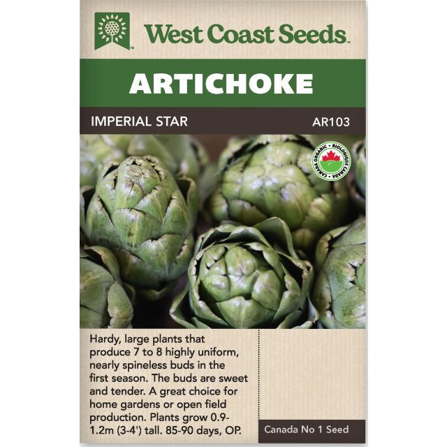 Imperial Star Certified Organic Artichoke Vegetables Seeds - West Coast Seeds
