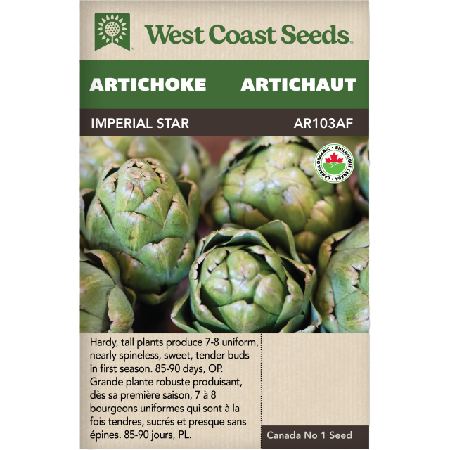 Imperial Star Artichaut Légumes Graines Biologiques - West Coast Seeds