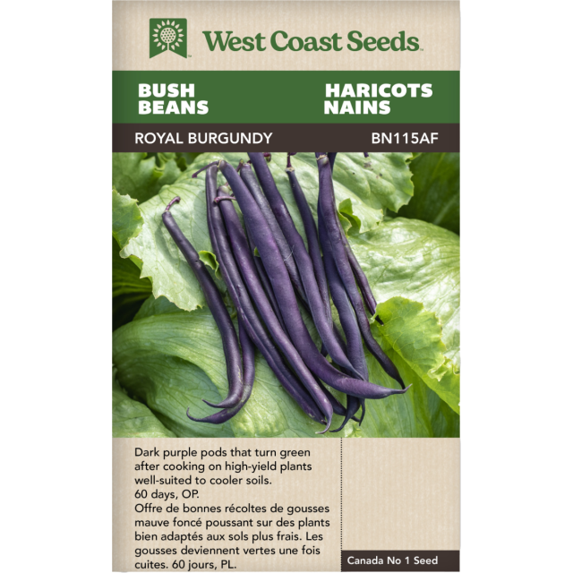 Royal Burgundy Bush Beans Vegetables Seeds - West Coast Seeds