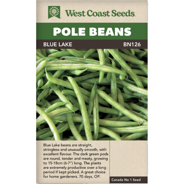 Blue Lake Pole Beans Vegetables Seeds - West Coast Seeds