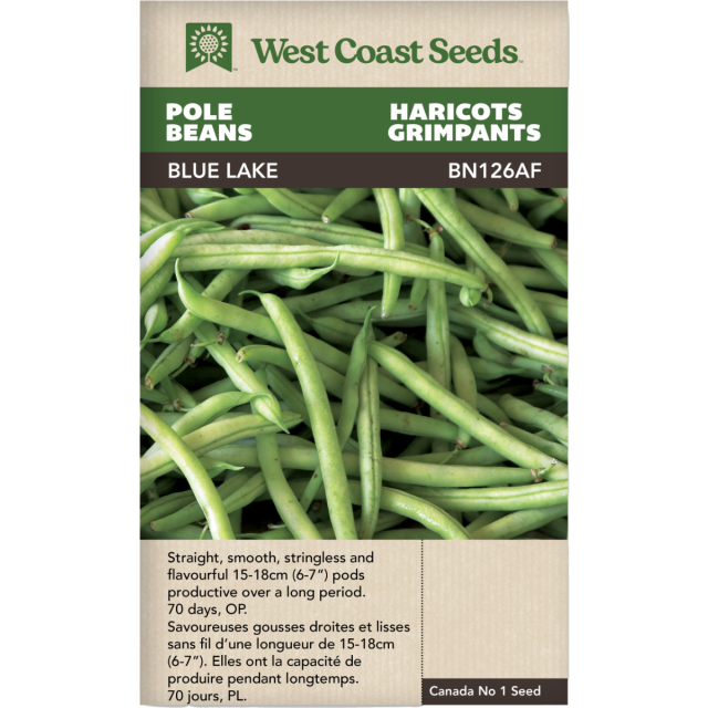 Blue Lake Pole Beans Vegetables Seeds - West Coast Seeds