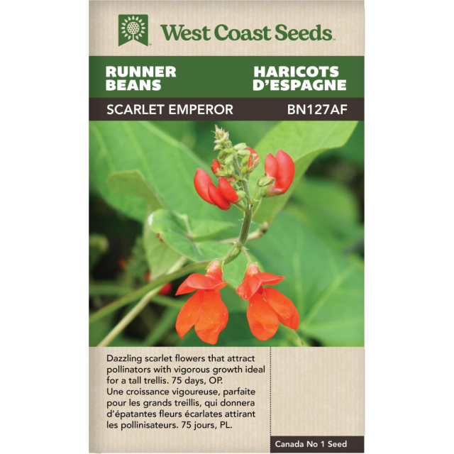 Scarlet Emperor Coureur Haricots Légumes Graines - West Coast Seeds