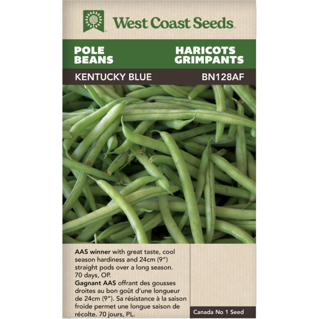 Kentucky Blue Pole Beans Vegetables Seeds - West Coast Seeds