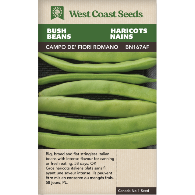 Campo de' Fiori Bush Beans Vegetables Seeds - West Coast Seeds