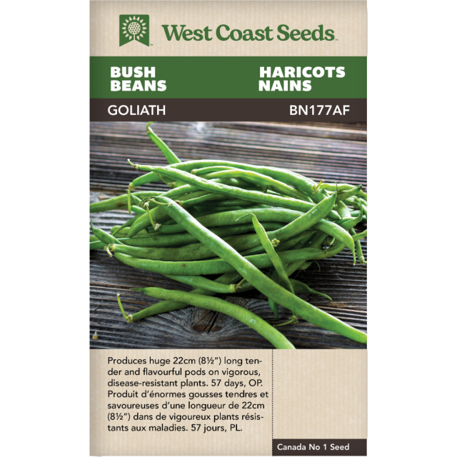 Goliath Buisson Haricots Légumes Graines - West Coast Seeds