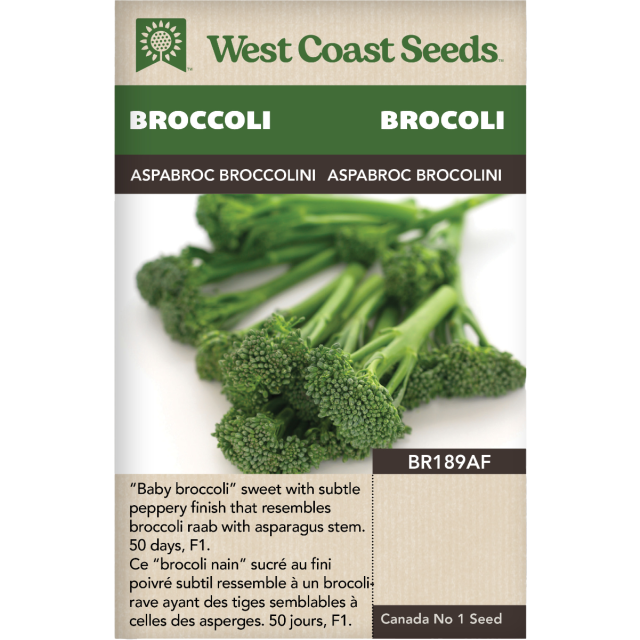 Aspabroc Brocolini Germination verte Brocoli Légumes Graines - West Coast Seeds