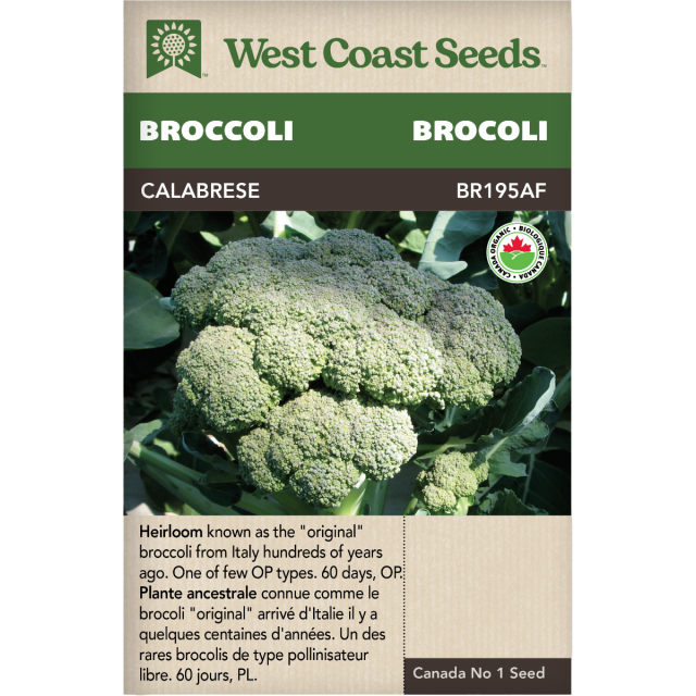 Calabrese Rubrique Brocoli Légumes Graines Biologiques - West Coast Seeds