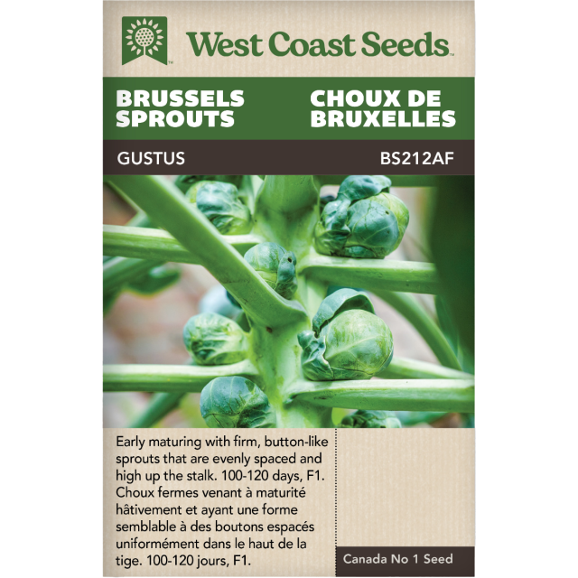 Gustus Choux de Bruxelles Légumes Graines - West Coast Seeds