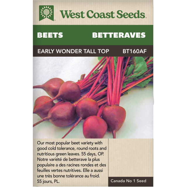 Early Wonder Tall Top Coupillage Betteraves Légumes Graines - West Coast Seeds