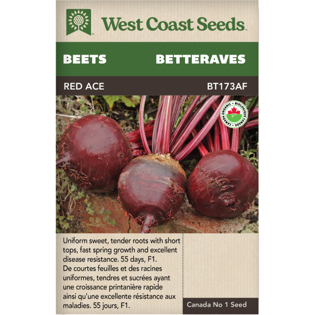 Red Ace Rouge Betteraves Légumes Graines Biologiques - West Coast Seeds