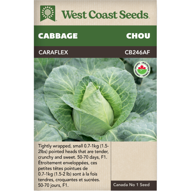 Caraflex enrobée Été Choux Légumes Graines Biologiques - West Coast Seeds