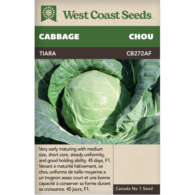 Tiara Été Choux Légumes Graines - West Coast Seeds