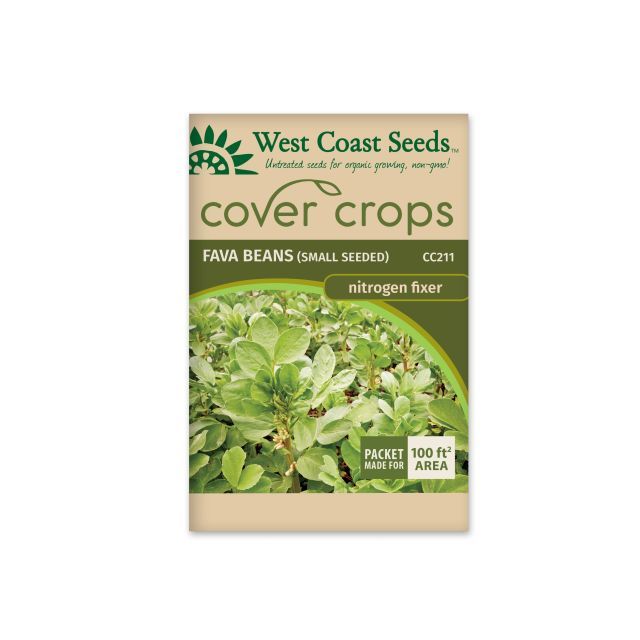 Small Seeded Fava Bean Seeds Fava Vegetable Seeds - West Coast Seeds - CC211A