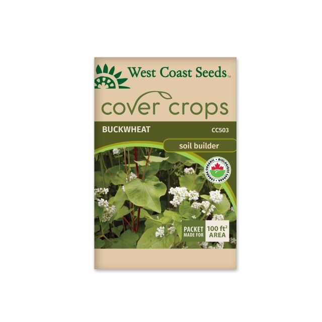 Buckwheat Certified Organic Seeds Buckwheat Vegetable Seeds - West Coast Seeds - CC503A