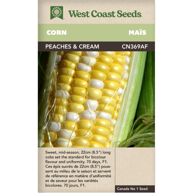 Peaches and Cream Early F1 Corn Vegetables Seeds - West Coast Seeds