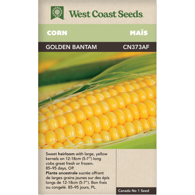 Golden Bantam Corn Vegetable Seeds - West Coast Seeds - CN373AF