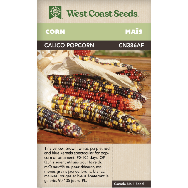 Calico Popcorn Maïs soufflé Maïs Légumes Graines - West Coast Seeds