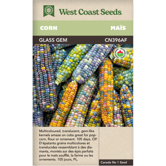 Glass Gem Certified Organic Corn Vegetable Seeds - West Coast Seeds - CN396AF