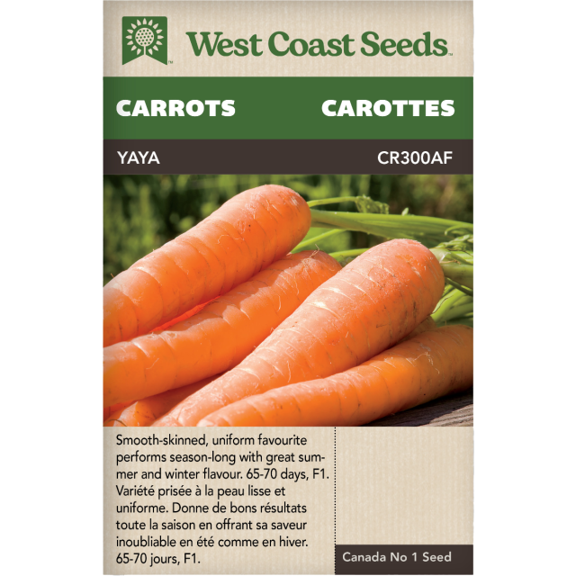 Ya Ya F1 (Coated) Certified Organic Nantes Carrots Vegetables Seeds - West Coast Seeds
