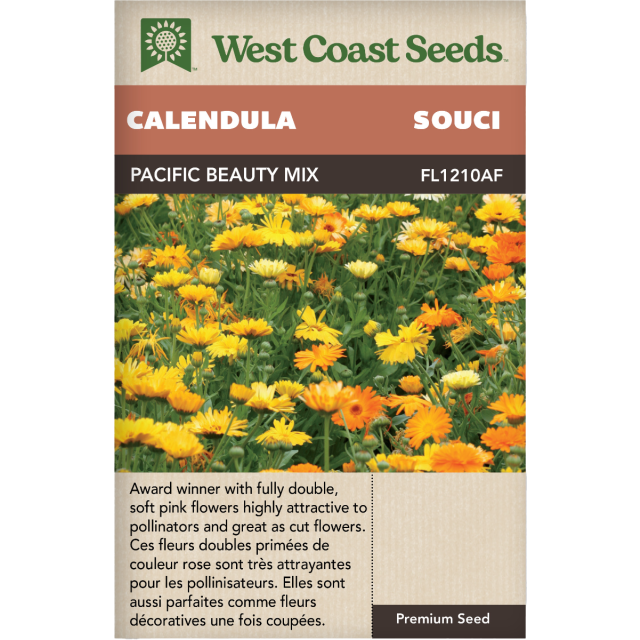 Pacific Beauty Annuel Calendula Fleurs Graines - West Coast Seeds