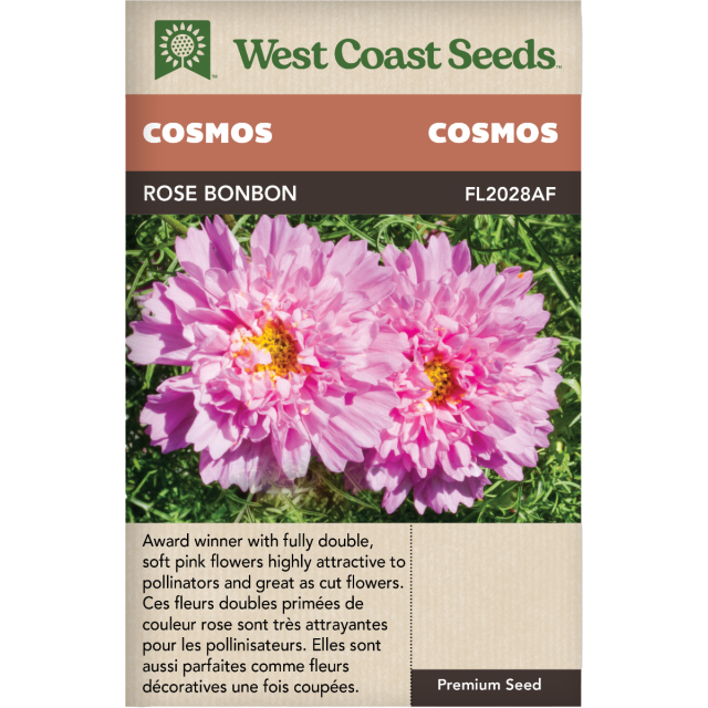 Rose Bon Bon Annuel Cosmos Fleurs Graines - West Coast Seeds