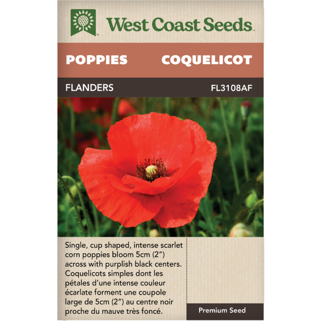 Flanders Poppy Annuel Coquelicots Fleurs Graines Anciennes - West Coast Seeds