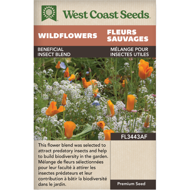 Mélange pour insectes utiles Mélange Fleurs sauvages Fleurs Graines - West Coast Seeds