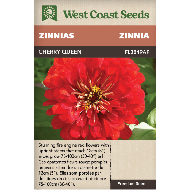 Cherry Queen Annuel Zinnies Fleurs Graines - West Coast Seeds