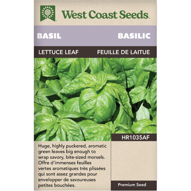 Feuille de laitue Génois Basilic Herbes Graines - West Coast Seeds