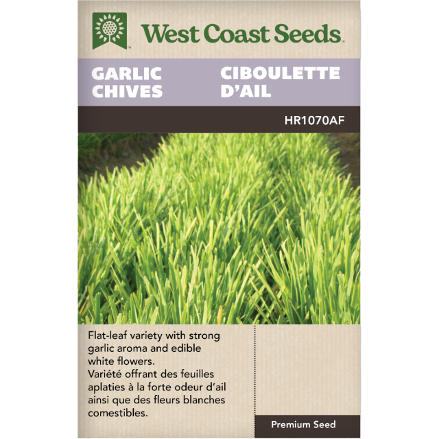 Garlic Chives Perennial Chives Herbs Seeds - West Coast Seeds