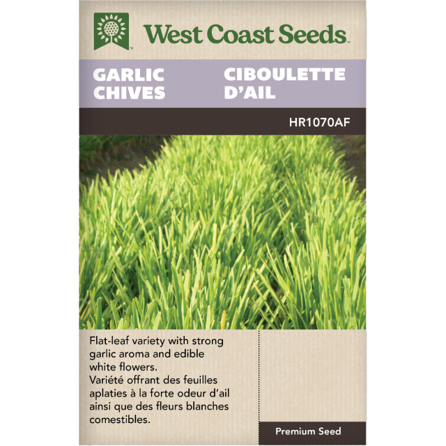 Ciboulette d'ail Vivace Chives Herbes Graines - West Coast Seeds