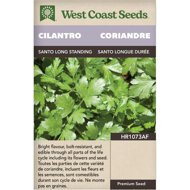 Santo Long Standing Cilantro Herbs Seeds - West Coast Seeds