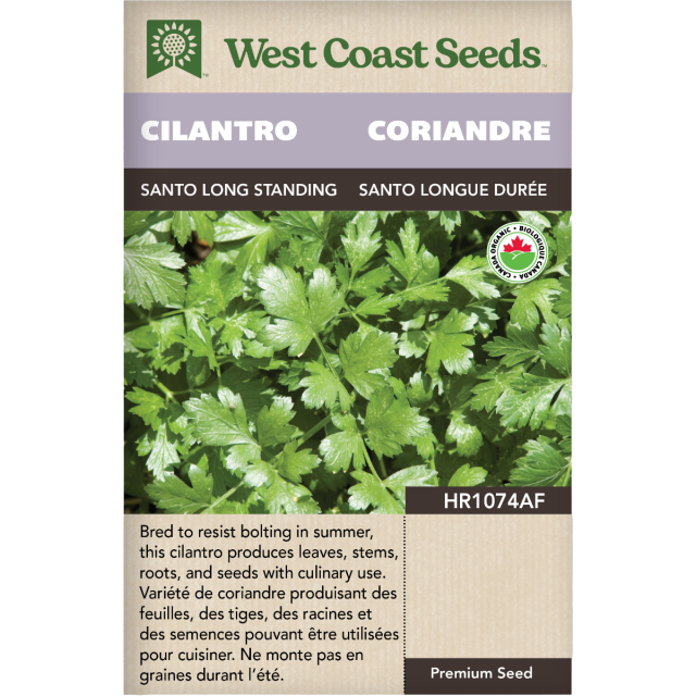 Santo Certified Organic Cilantro Herbs Seeds - West Coast Seeds