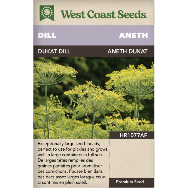 Dukat Annuel Aneth Herbes Graines - West Coast Seeds