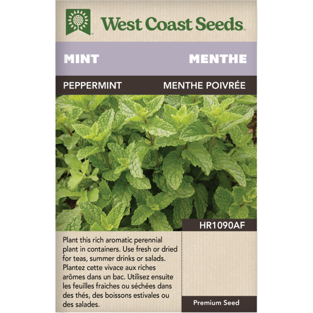 Peppermint Peppermint Herbs Seeds - West Coast Seeds