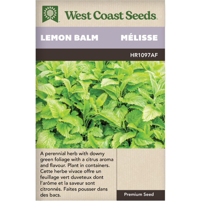 Mélisse Lemon Balm Herbes Graines - West Coast Seeds