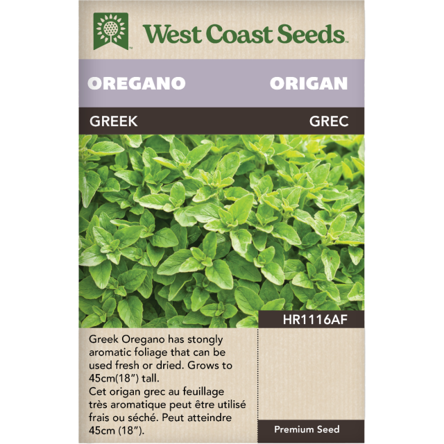 Greek Oregano Herbs Seeds - West Coast Seeds