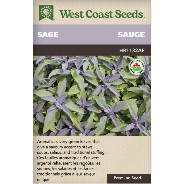 Sage Certified Organic Sage Herbs Seeds - West Coast Seeds