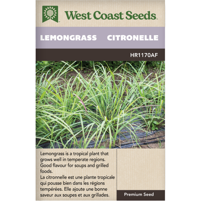 Citronelle Lemongrass Herbes Graines - West Coast Seeds