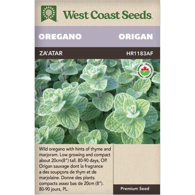 Zaatar Oregano Certified Organic Oregano Herbs Seeds - West Coast Seeds