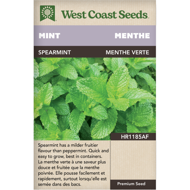 Menthe verte Monnaie Herbes Graines - West Coast Seeds