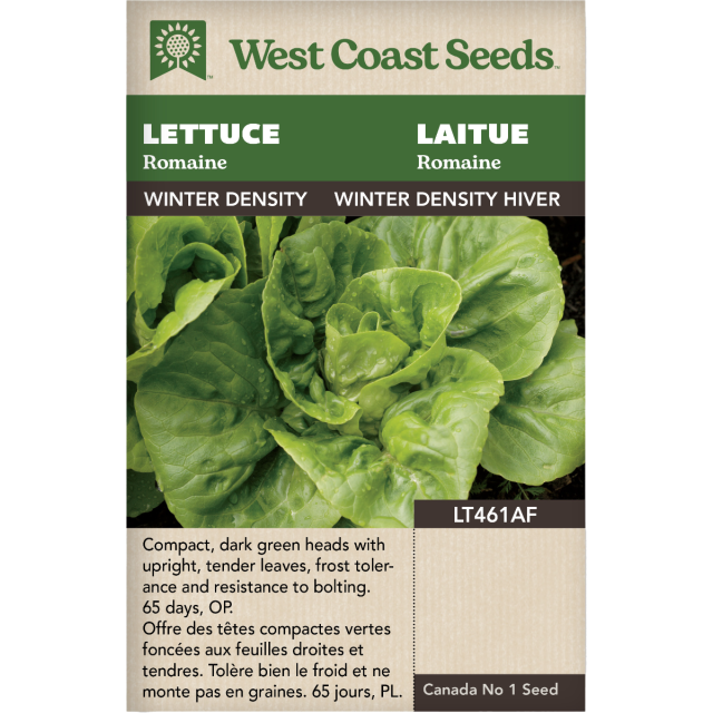 Winter Density Hiver Romaine Laitue Légumes Graines - West Coast Seeds