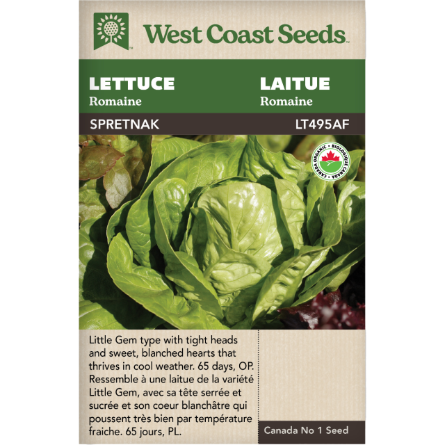 Spretnak Romaine Laitue Légumes Graines Biologiques - West Coast Seeds