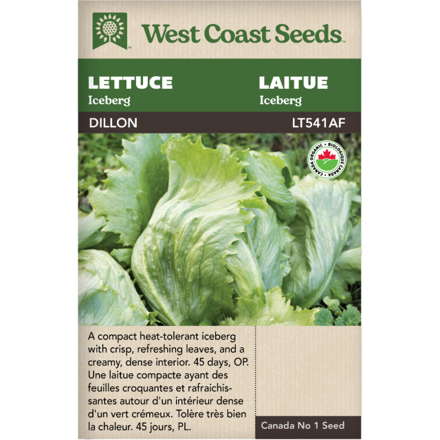 Dillon Iceberg Laitue Légumes Graines Biologiques - West Coast Seeds