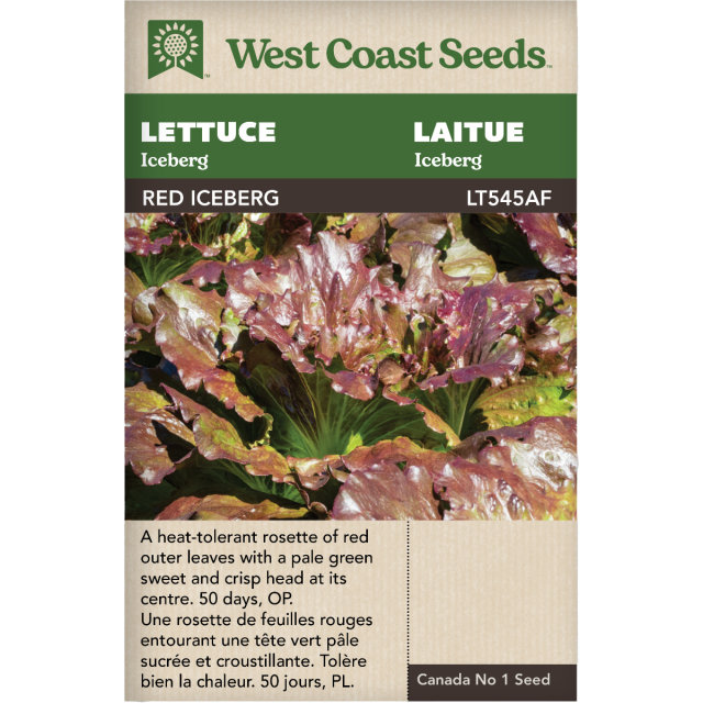 Red Iceberg Iceberg Laitue Légumes Graines - West Coast Seeds