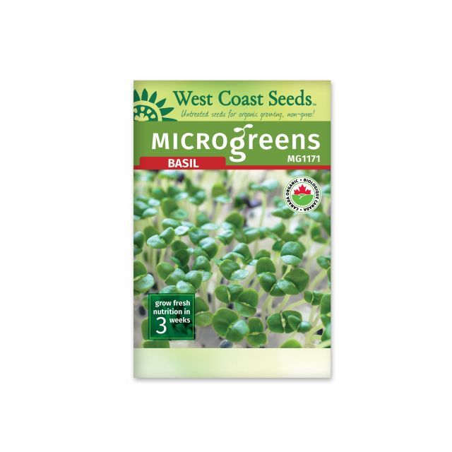 Microgreen Basil Seeds Basil Vegetable Seeds - West Coast Seeds - MG1171A