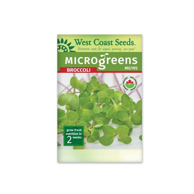 Microgreen Broccoli Certified Organic Seeds Broccoli Vegetable Seeds - West Coast Seeds - MG195A