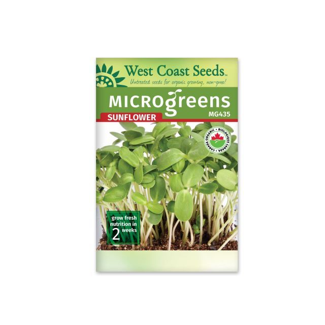 Microgreen Sunflower Certified Organic Seeds Sunflowers Vegetable Seeds - West Coast Seeds - MG435A